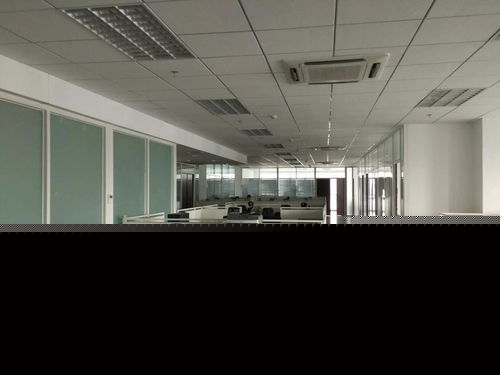 看準網在軟件開發領域的應用與價值